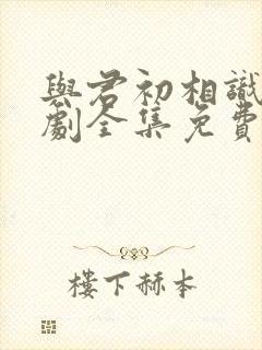 与君初相识电视剧全集免费西瓜