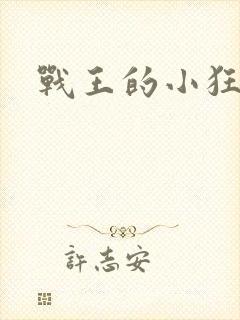 战王的小狂妃