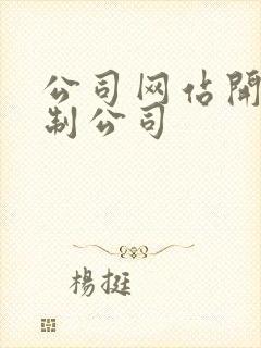 公司网站开发定制公司