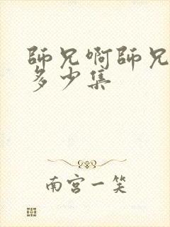 师兄啊师兄共有多少集