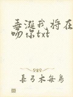 垂涎我将在今夜吻你txt