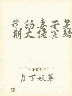 我的妻子是大乘期大佬完结了吗