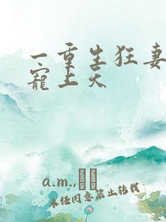 一重生狂妻大佬宠上天