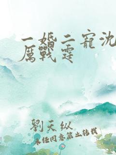 一婚二宠沈嫣然厉战霆