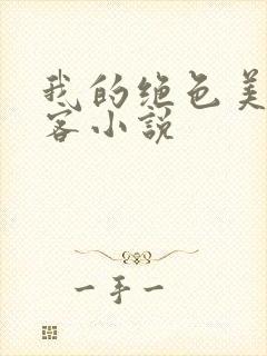 我的绝色美女房客小说