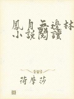 凤月无边林家成小说阅读