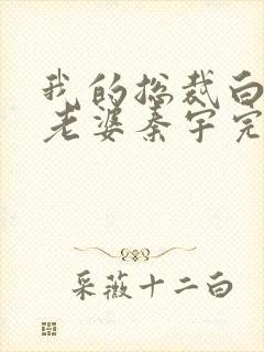 我的总裁白富美老婆秦宇完结版