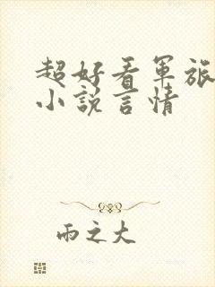 超好看军旅甜文小说言情