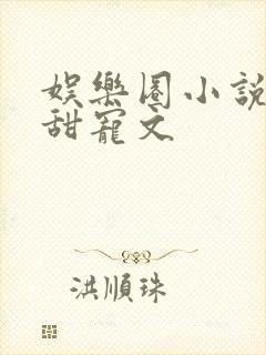 娱乐圈小说推荐甜宠文