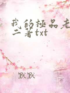 我的极品老婆小二著txt