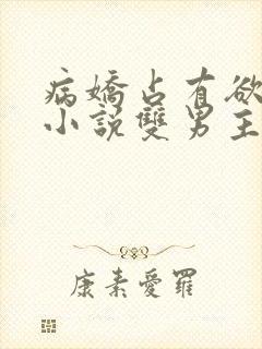 病娇占有欲强的小说双男主