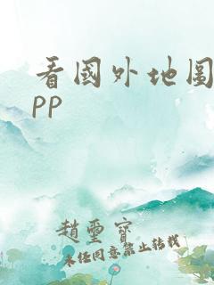 看国外地图的app