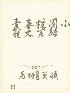 青春校园小说甜宠文完结