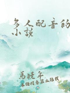 多人配音的有声小说