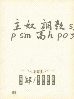 主奴 调教 sp sm 高h po文 小说
