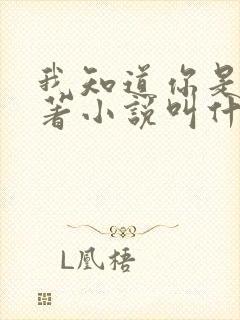 我知道你是谁原著小说叫什么名字