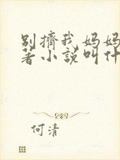 别挤我妈妈了原著小说叫什么名字