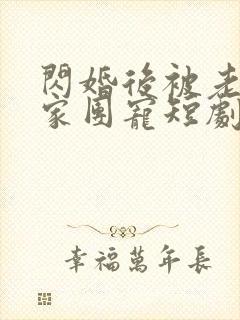 闪婚后被老公全家团宠短剧大结局