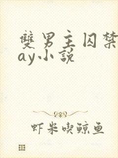 双男主囚禁play小说