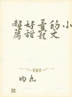 超好看的小说推荐甜宠文