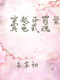 穿越斗罗觉醒玄冥龟武魂