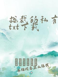 总裁的私有宝贝txt下载