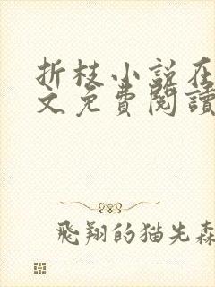 折枝小说在线全文免费阅读无弹窗