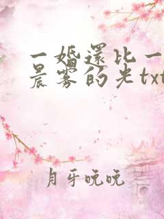一婚还比一婚高晨雾的光txt