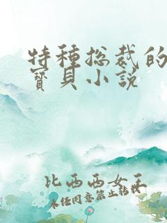 特种总裁的私有宝贝小说