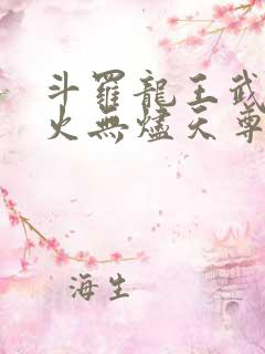 斗罗龙王武魂异火无烬天尊免费阅读