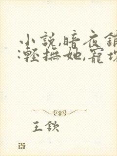 小说,暗夜销婚:轻抚她,宠坏她