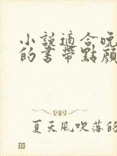 小说适合晚上看的书带点颜