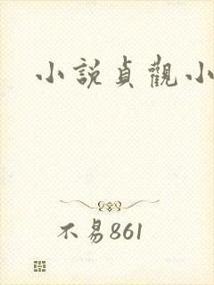 小说贞观小闲王