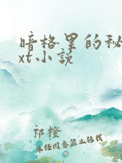 暗格里的秘密txt小说