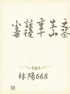 小说重生之将门毒后千山茶客最新