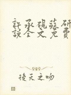 许承砚苏研雅小说全文免费阅读最新