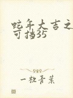 蛇年大吉之婚不可挡35