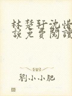 林楚轩沈惜月小说免费阅读最新章节