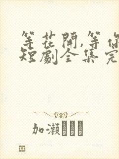 等花开,等你归短剧全集完整版