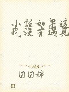 小说如果这一秒我没有遇见你