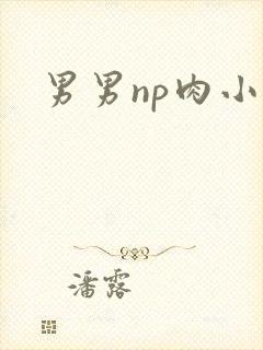 男男np肉小说
