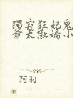 独宠狂妃鬼面王爷太傲娇小说