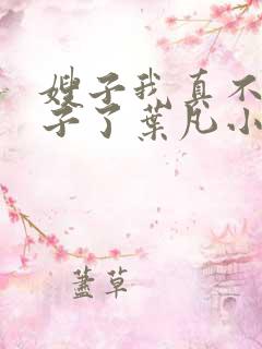 嫂子我真不是傻子了叶凡小说最新章节精校版