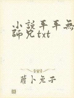 小说平平无奇大师兄txt