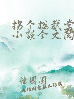 拐个总裁当爹地小说全文阅读