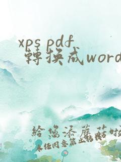 xps pdf 转换成word
