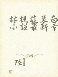 林枫苏慕白穿越小说最新章节更新内容