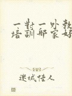 一对一外教口语培训哪家好