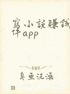 写小说赚钱的软件app