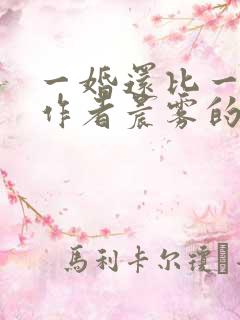 一婚还比一婚高作者晨雾的光